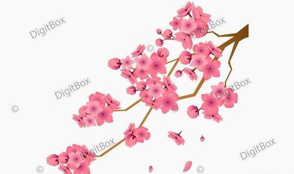 عکس شکوفه بهاری کارتونی