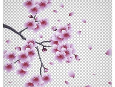 عکس شکوفه بهاری کارتونی