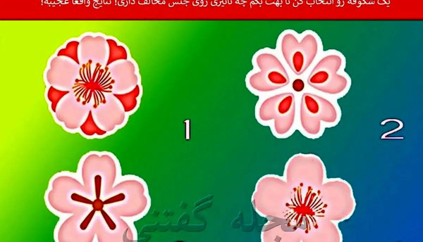 عکس قلب شکوفه زده