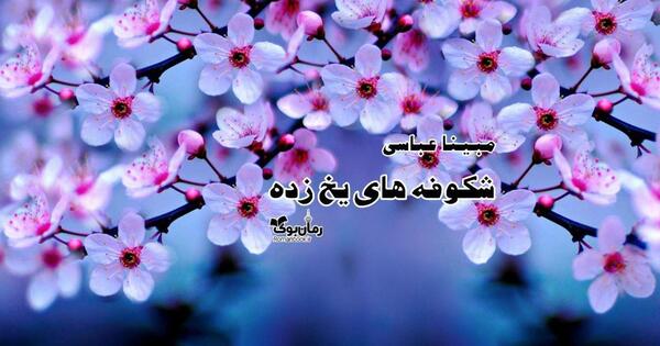 عکس قلب شکوفه زده