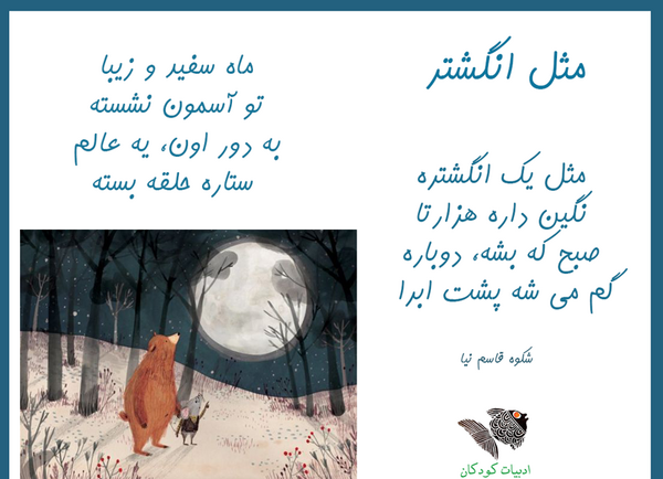 عکس از شکوه قاسم نیا
