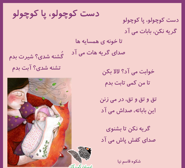 عکس از شکوه قاسم نیا