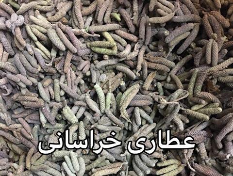 عکس شکوفه درخت فندق