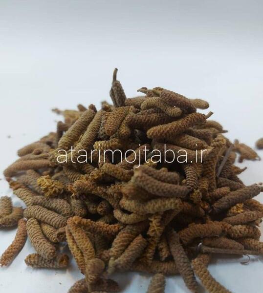 عکس شکوفه درخت فندق