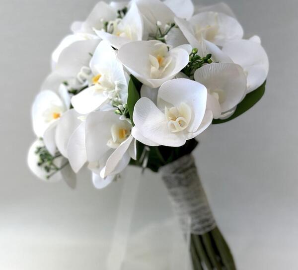 عکس گل شکوفه عروس