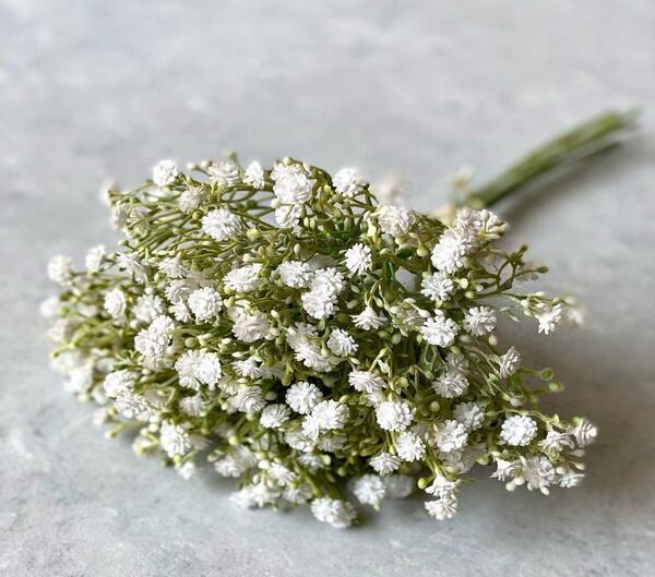 عکس گل شکوفه عروس