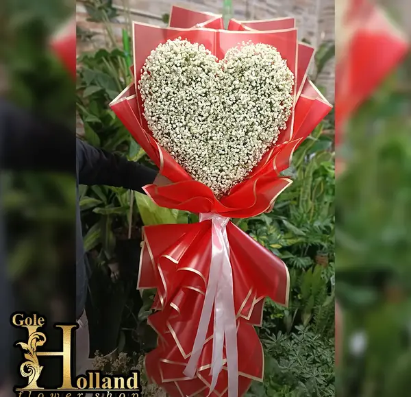 عکس گل شکوفه عروس