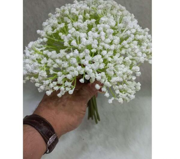 عکس گل شکوفه عروس