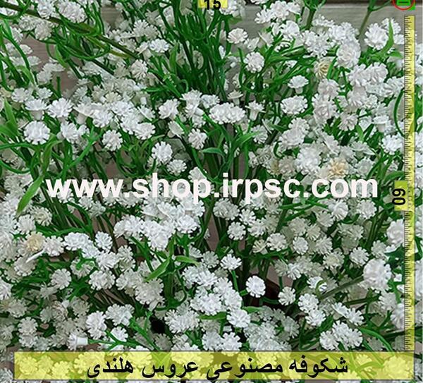 عکس گل شکوفه عروس