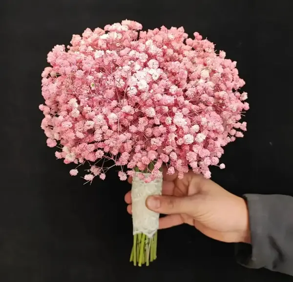 عکس گل شکوفه عروس