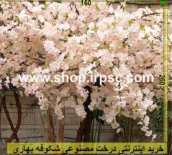 عکس درخت شکوفه دار طبیعی