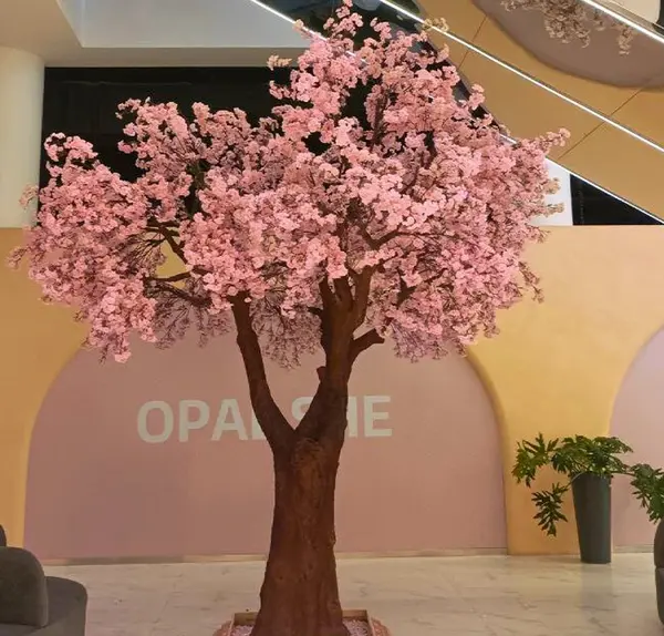 عکس درخت شکوفه دار طبیعی