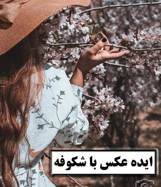 ژست عکس با درخت شکوفه