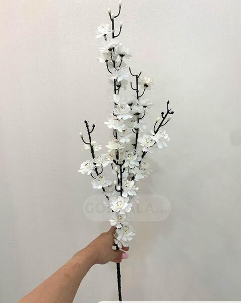 عکس شکوفه های سفید