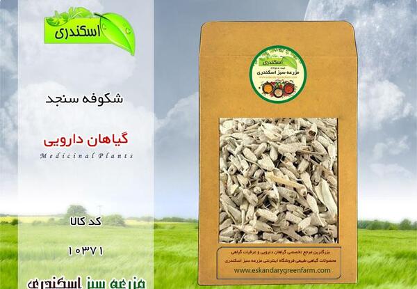 عکس شکوفه های سنجد