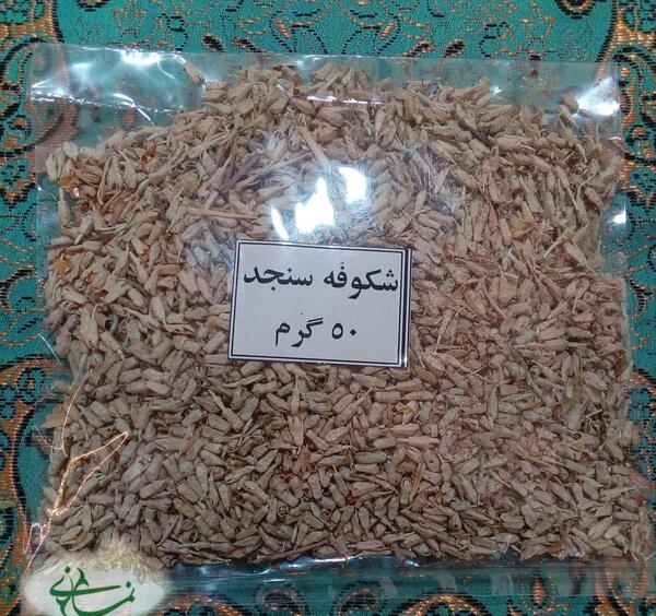 عکس شکوفه های سنجد