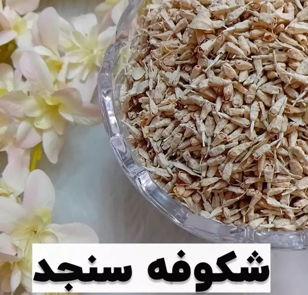 عکس شکوفه های سنجد