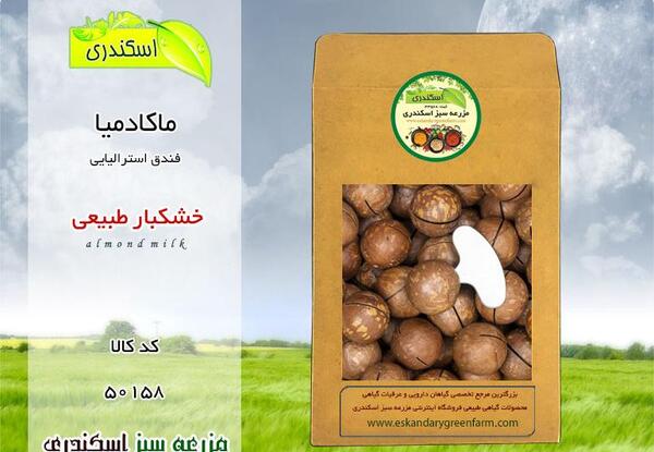 عکس شکوفه های سنجد