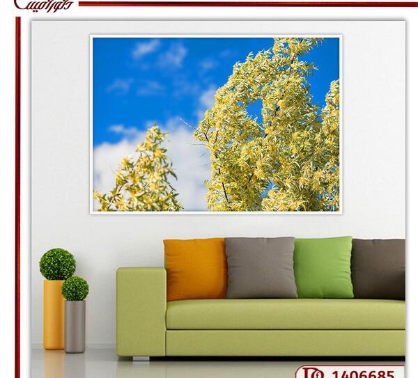 عکس شکوفه درخت سنجد