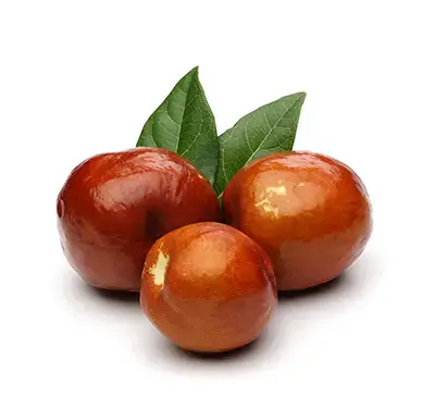 عکس شکوفه درخت عناب