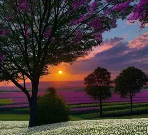 عکس شکوفه و علیرضا رمضانی