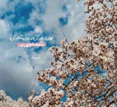 عکس شکوفه و علیرضا رمضانی