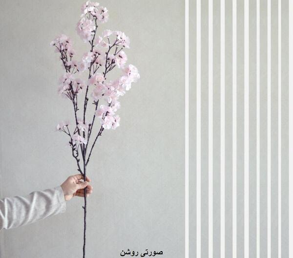 عکس درخت هلو با شکوفه
