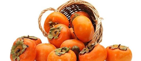 عکس شکوفه خرمالو