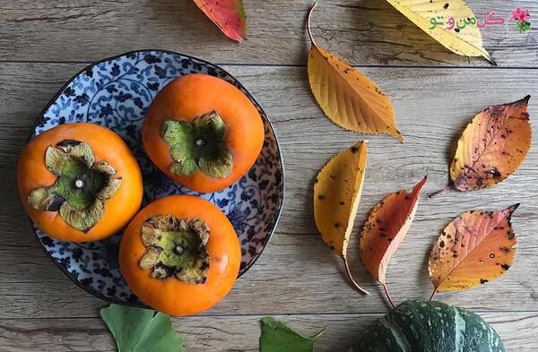 عکس شکوفه خرمالو