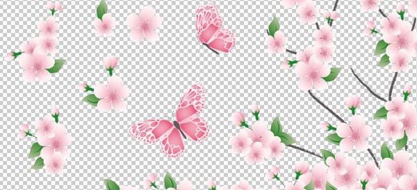 عکس تک شکوفه