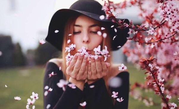 عکس پروفایل درخت شکوفه