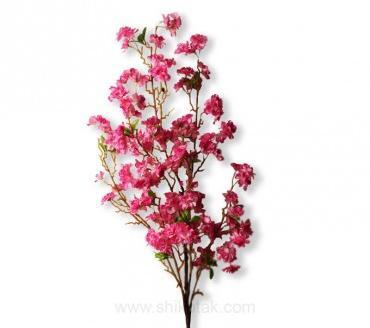 عکس گل شکوفه ریز