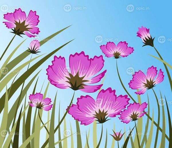عکس گل شکوفه ریز