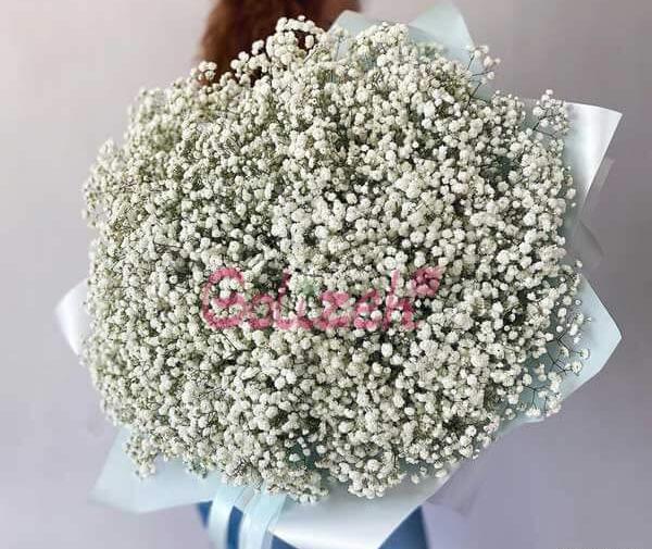 عکس گل شکوفه ریز