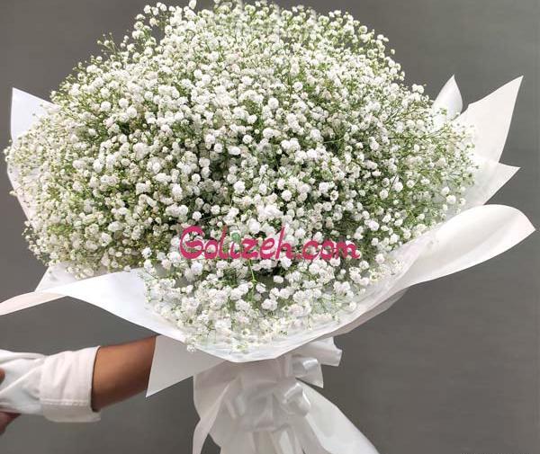 عکس گل شکوفه ریز