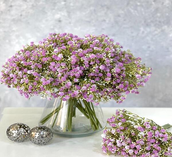عکس گل شکوفه ریز