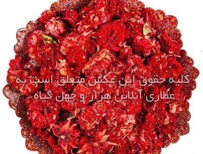 عکس شکوفه درخت انار