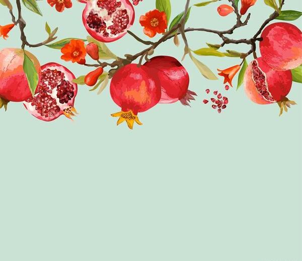 عکس شکوفه های انار