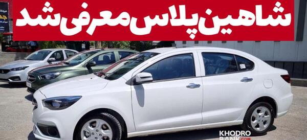 عکس های شاهین پلاس
