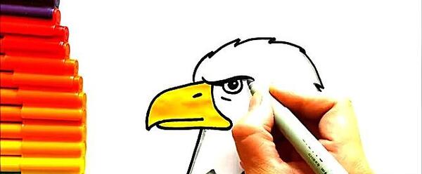 عکس نقاشی شاهین ساده
