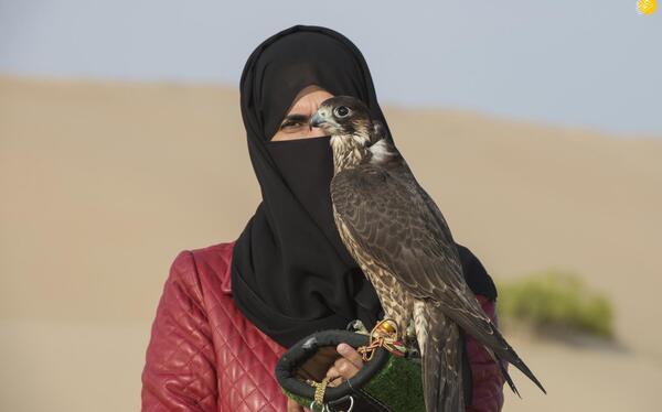 عکس شاهین باز