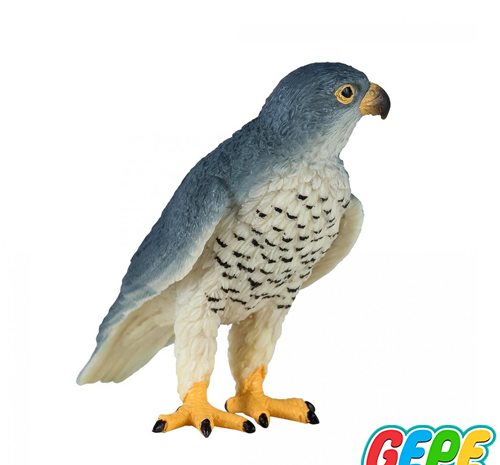 عکس شاهین اسباب بازی