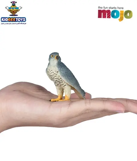 عکس شاهین اسباب بازی