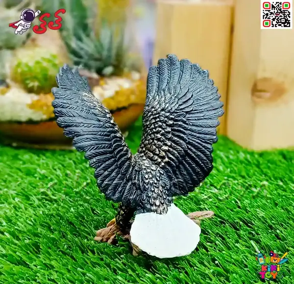 عکس شاهین اسباب بازی