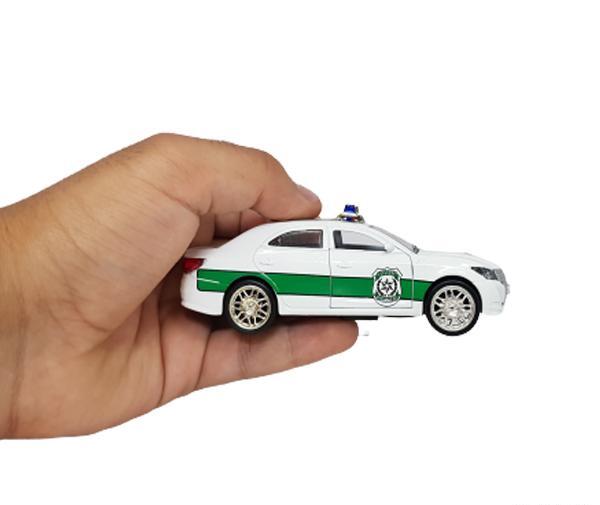 عکس شاهین اسباب بازی