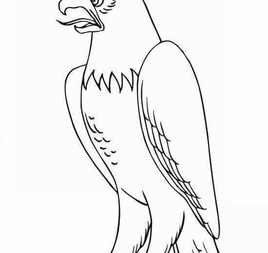 عکس نقاشی شاهین آسان