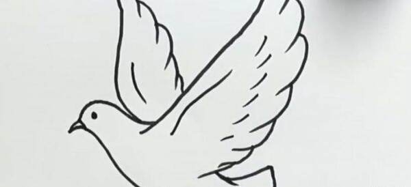 عکس نقاشی شاهین آسان