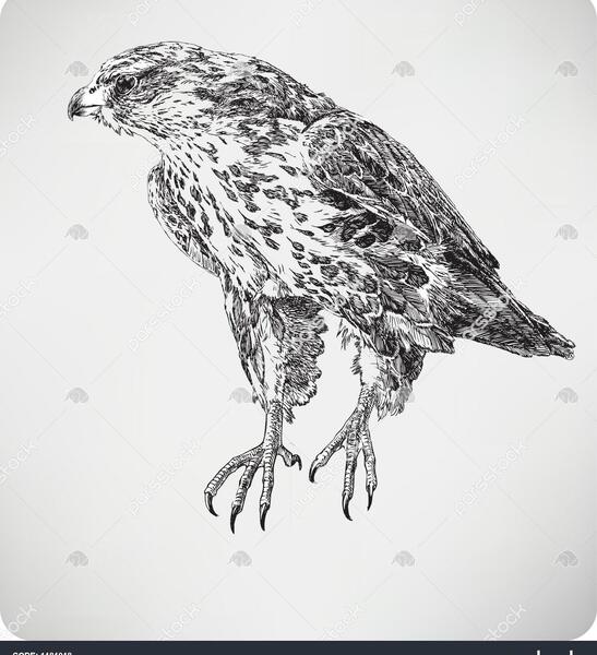 عکس ماشین شاهین نقاشی