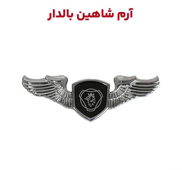 عکس شاهین برای لوگو