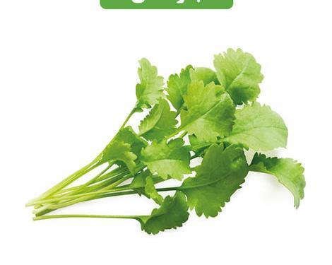 عکس تخم سبزی شاهین